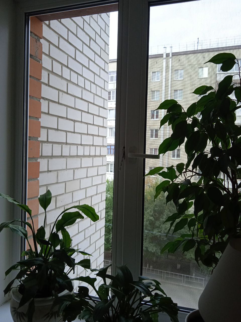 https://orel.delaem-okna.ru/storage/app/uploads/public/63f/332/8c0/63f3328c0408d690824237.jpg